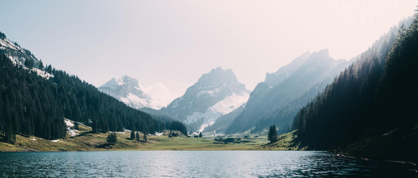 горы, Альпы, лес, ели, снег, вода, луга, природа