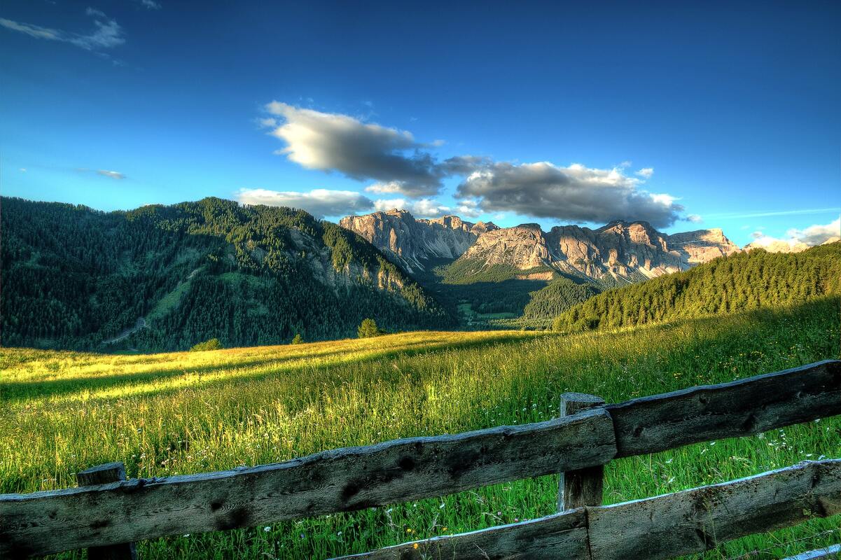 горы, Альпы, лес, ели, зеленые, луга, природа