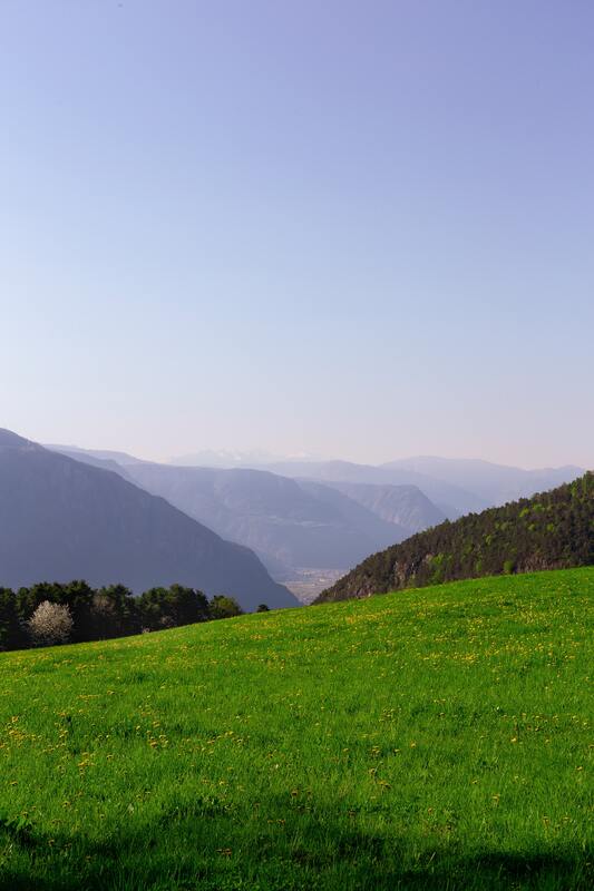 трава, зеленые,  луг, горы