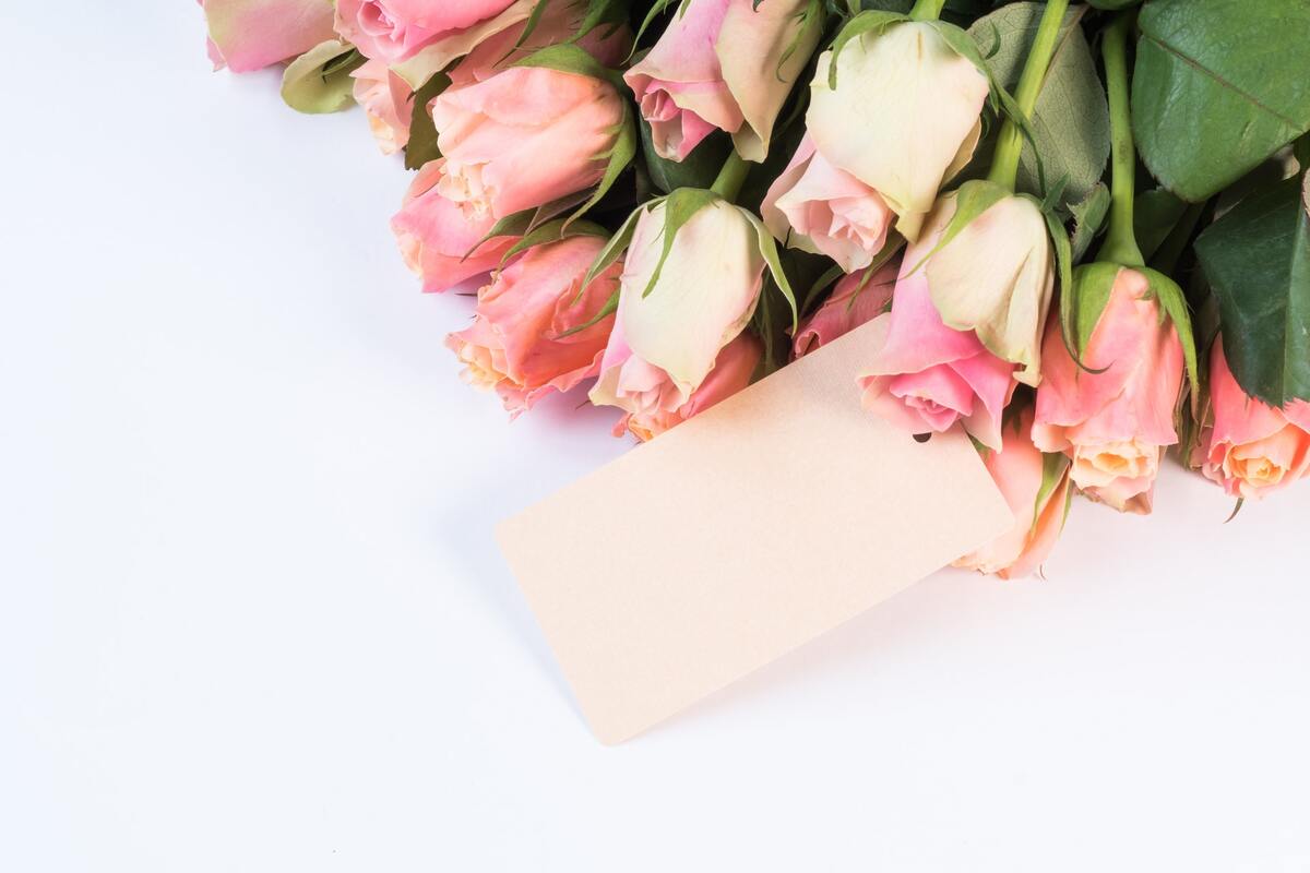 цветы, розы, розовые розы, букет