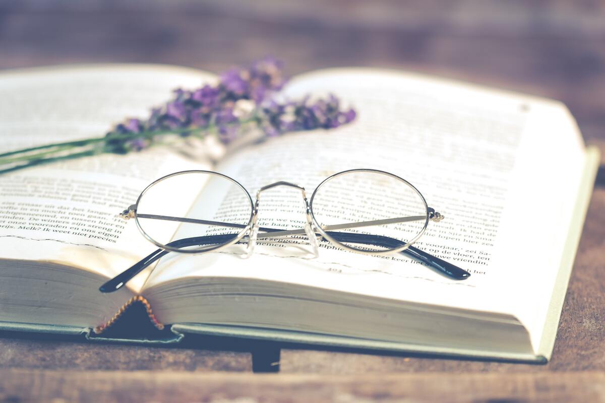 лаванда, 3д,3d, книга, очки