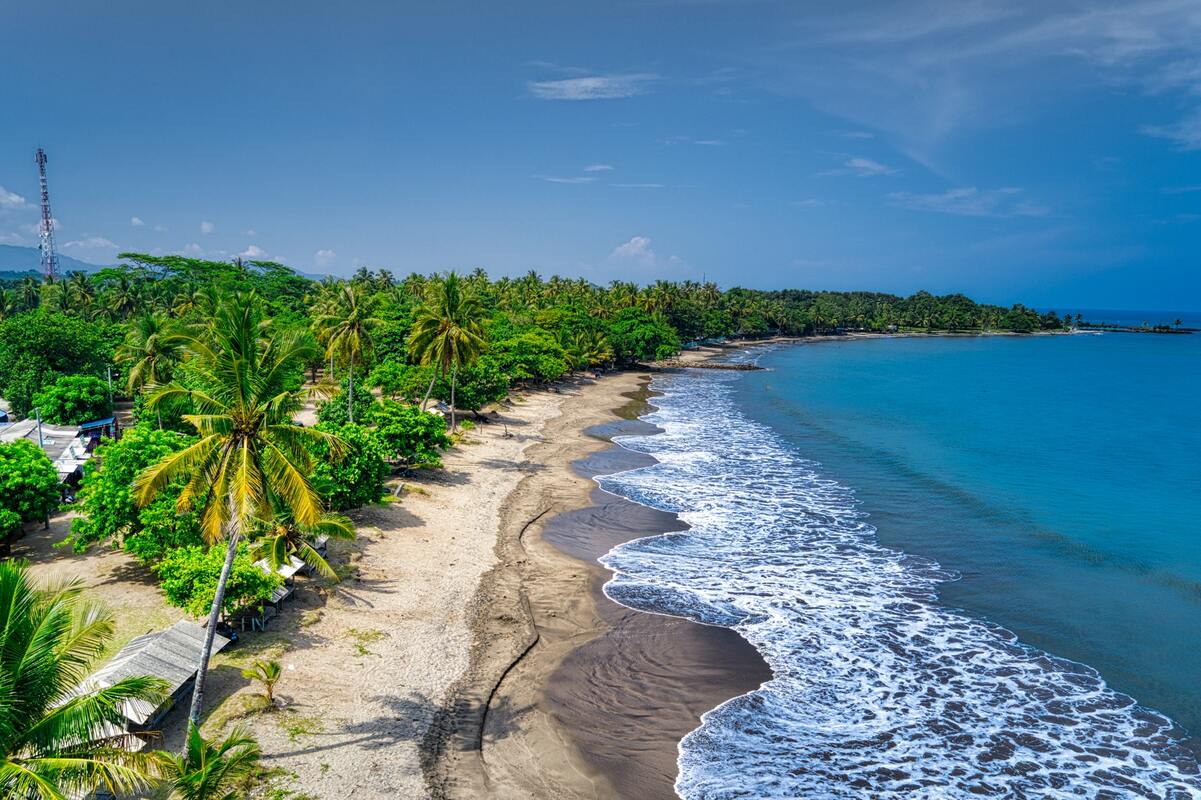 пальмы, остров, берег, океан, море, берег моря, песок