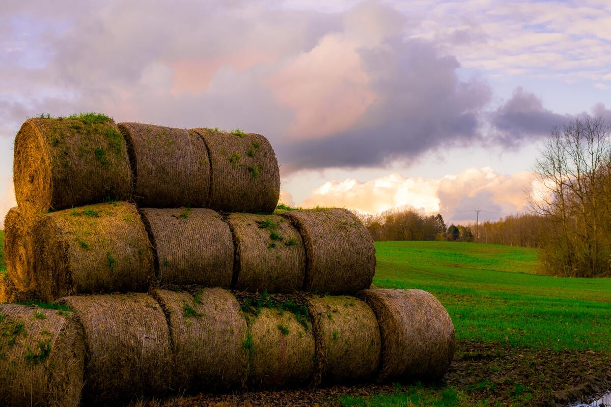 поле, стог сена