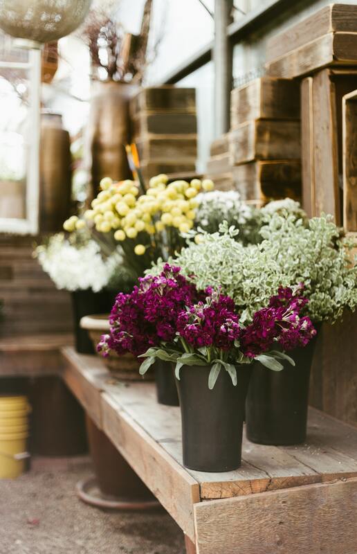 цветы, букет, ваза с цветами