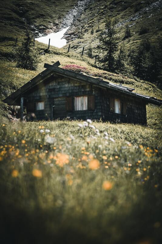 лес, деревья, ветви, природа, домик, домик в лесу