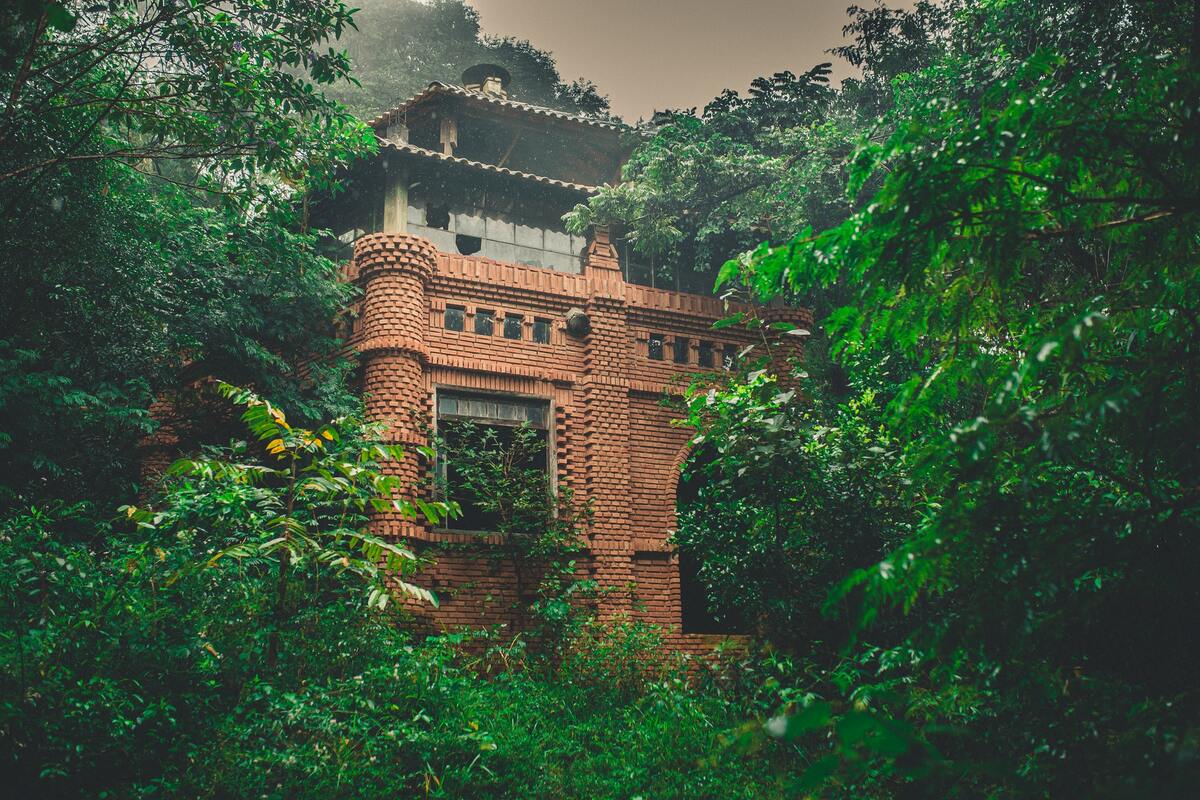 лес, деревья, ветви, природа, домик, домик в лесу