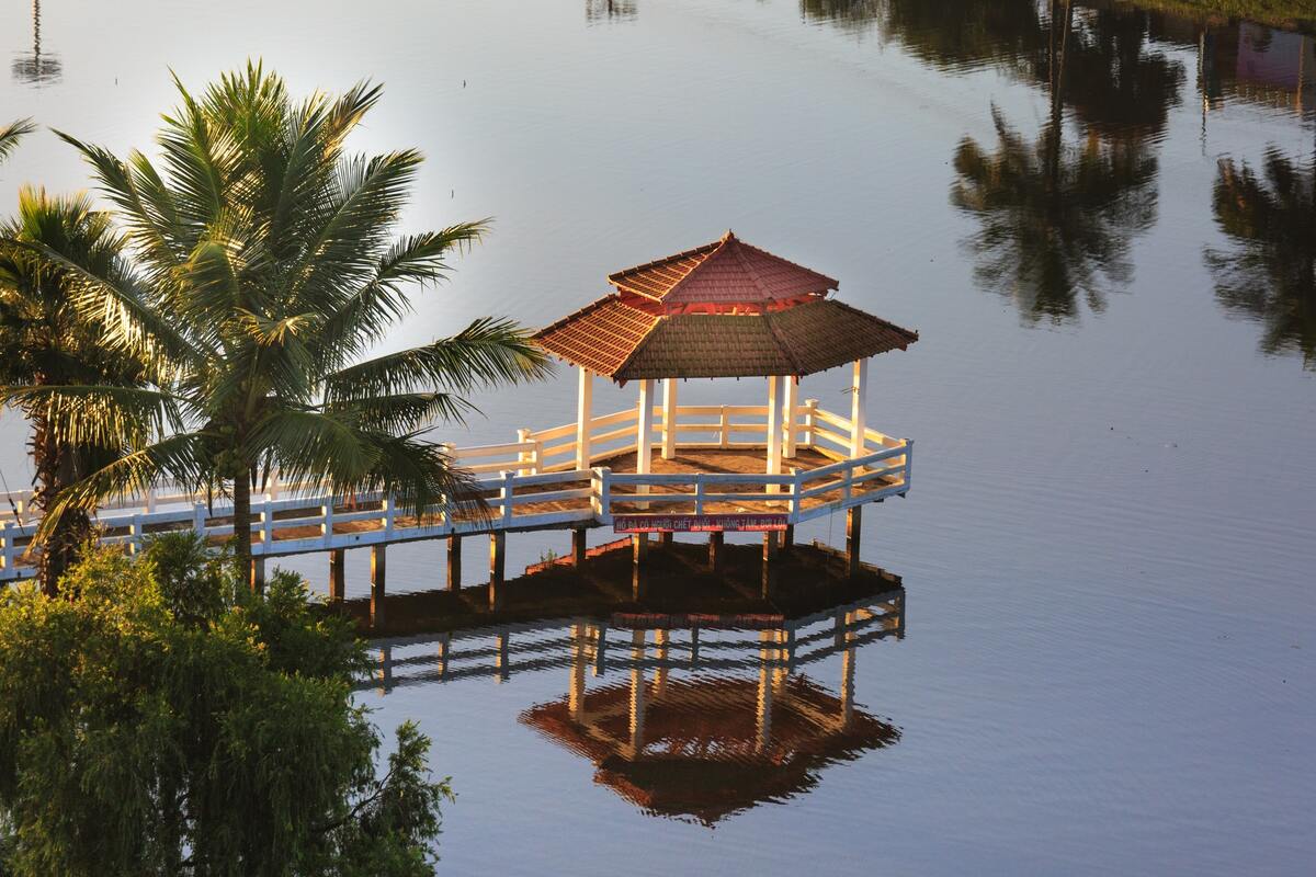 озеро, водоем, природа, пальмы, HD, беседка