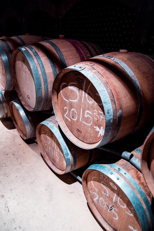 вино, алкоголь, бочки с вином