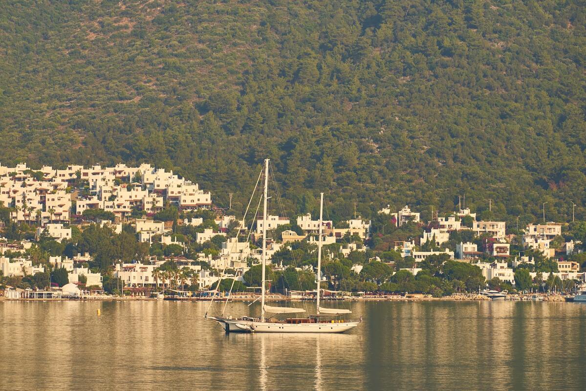 яхты, яхта, город, лес, море