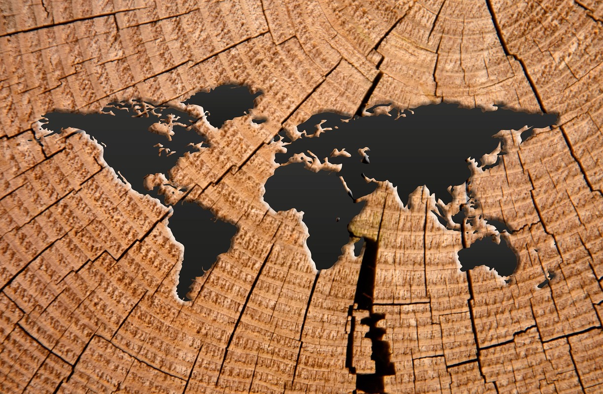 карта, карта мира