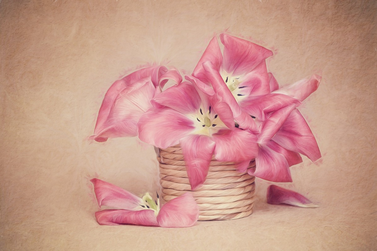 Живопись, растения, тюльпаны