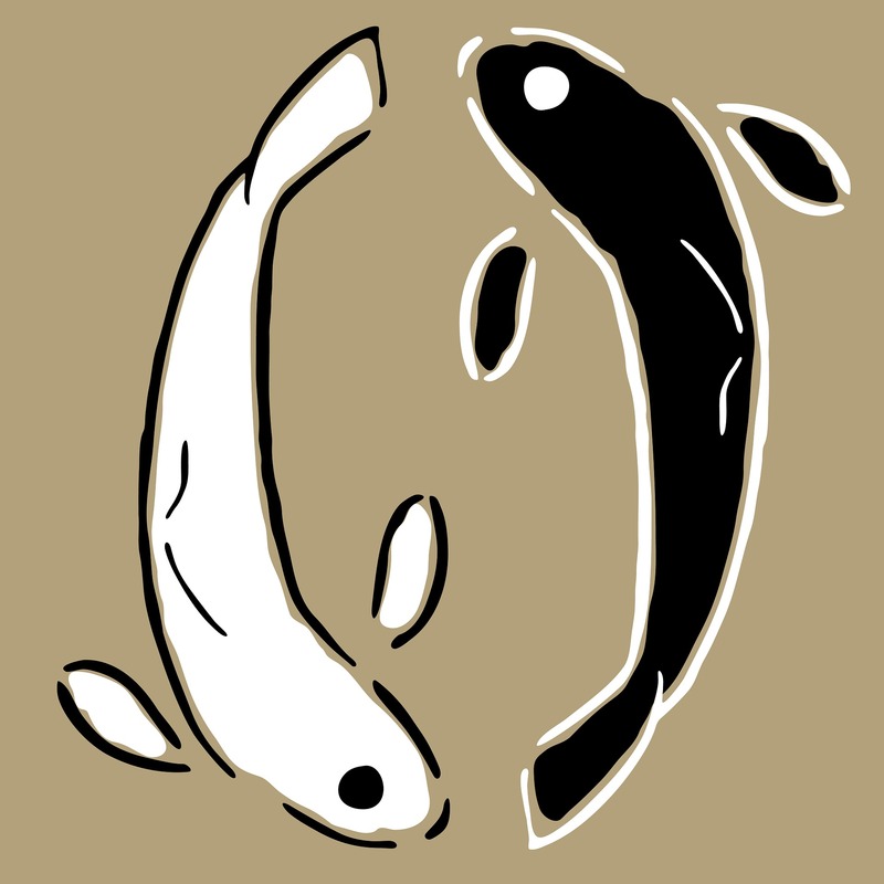 инь янь, рыбки, черно белые