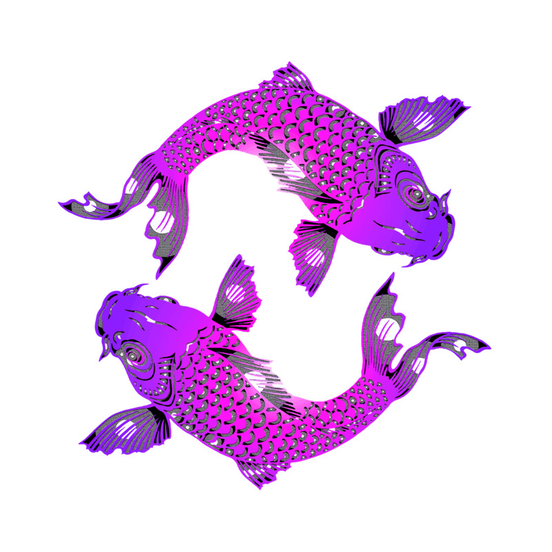 инь янь, рыбки кои