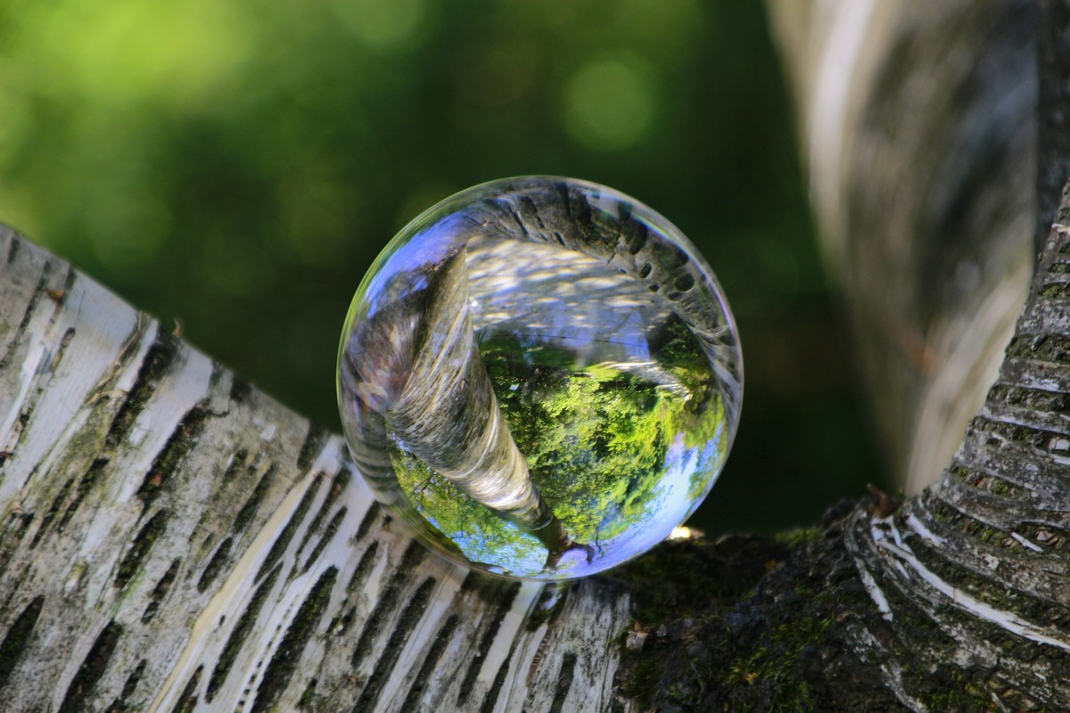 стеклянный шар, 3д, 3d, лес, березы, отражение