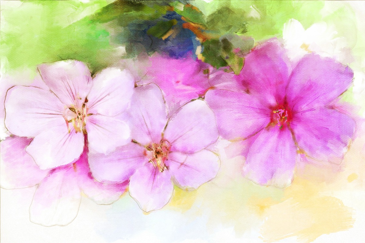 цветы, живопись, акварель