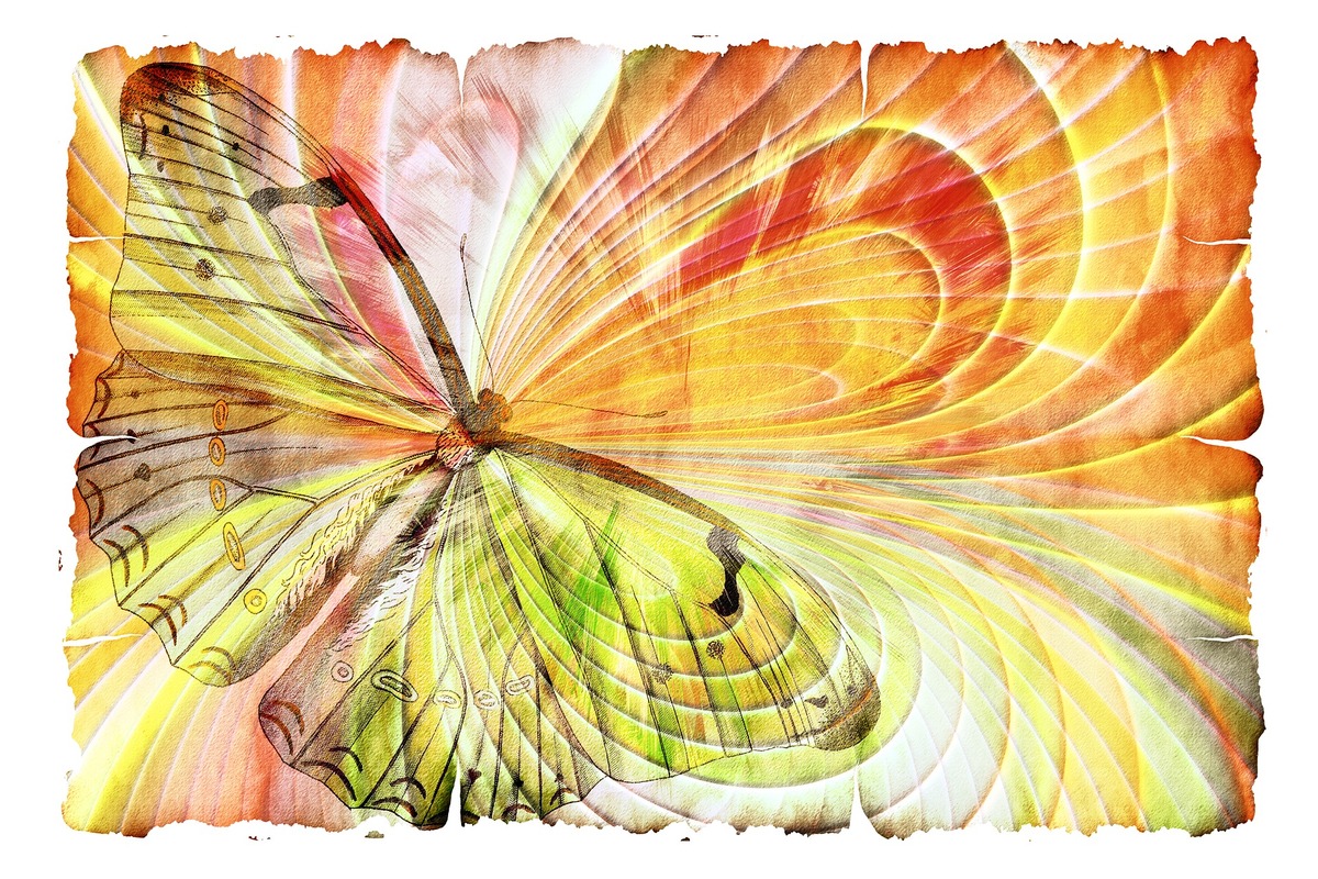 Бабочки, бумага, ретро, пергамент