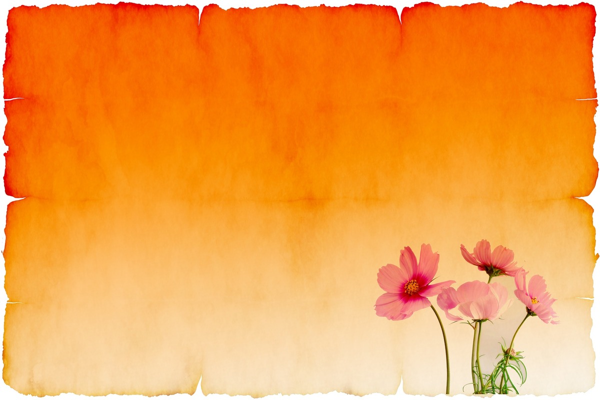 бумага, ретро, цветы, пергамент