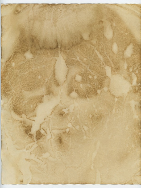 бумага, ретро, пергамент