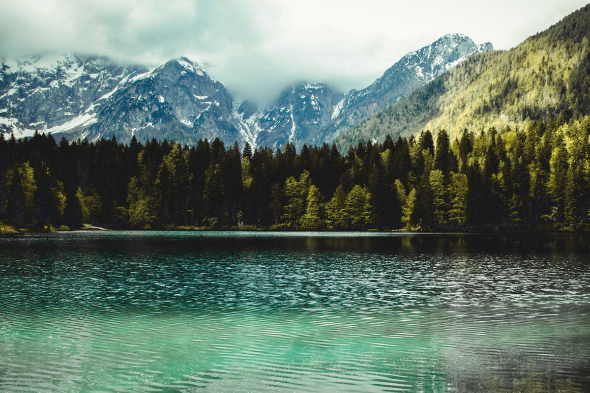 горы, снег, лес, вода, природа, пейзаж