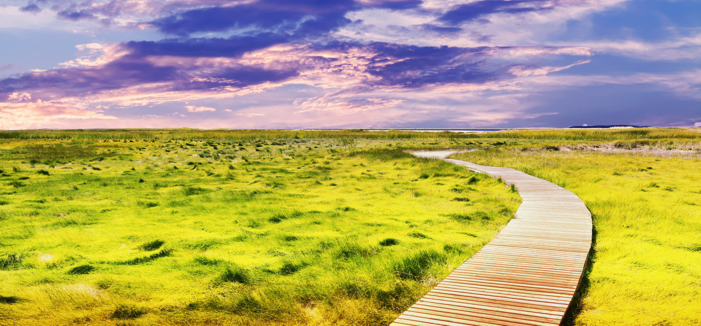 дорога, поле, луга, зеленые , небо