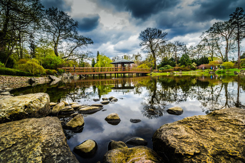 природа, камни, вода, дерево