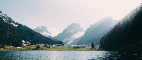 горы, Альпы, лес, ели, снег, вода, луга, природа