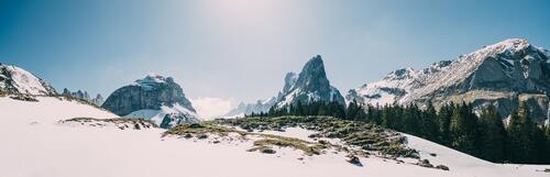 горы, Альпы, лес, ели, снег, природа