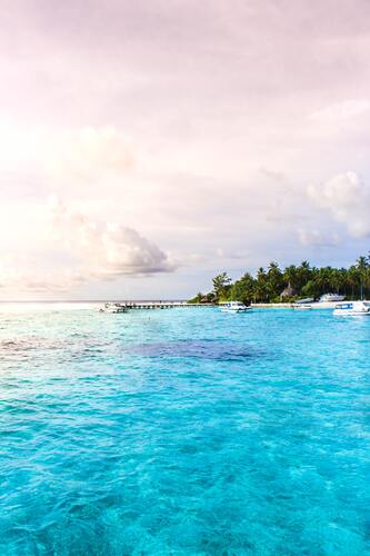 море, пляж, песок, пальмы, океан, берег, берег моря