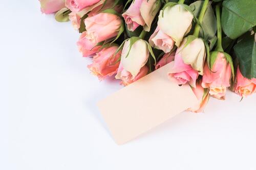 цветы, розы, розовые розы, букет