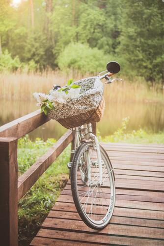 велосипед, лес, природа, деревья, корзина, мост