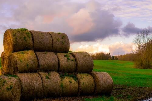 поле, стог сена