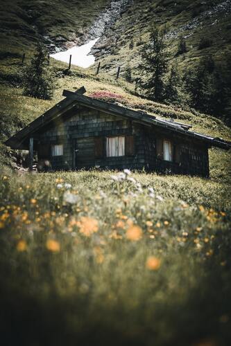 лес, деревья, ветви, природа, домик, домик в лесу