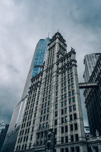 здание, сооружение, архитектура, вид снизу, небоскребы, черно белые