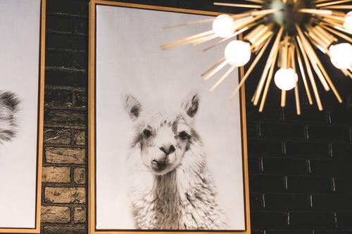 выставка, картины, музей, живопись