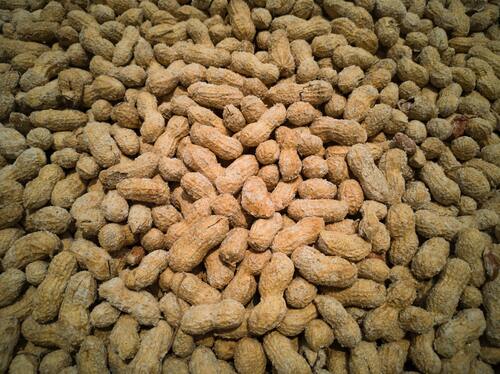 орехи, еда, базар