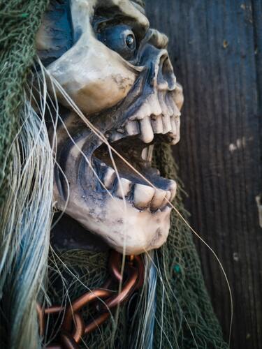 череп, скелет, кость