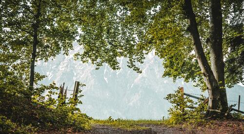 горы, скалы, вершины, деревья, трава, зеленые, вид на горы