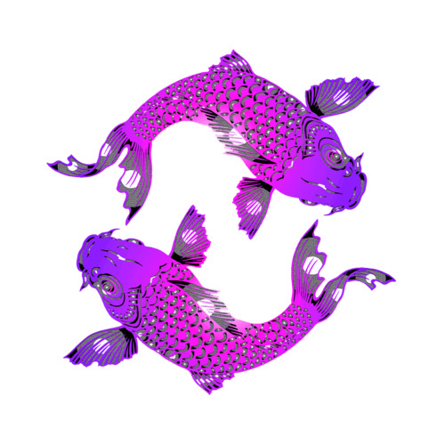 инь янь, рыбки кои