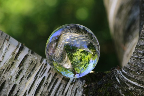 стеклянный шар, 3д, 3d, лес, березы, отражение