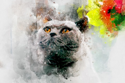 кот, кошка, животные, домашние животные, коты, кошки, живопись, акварель