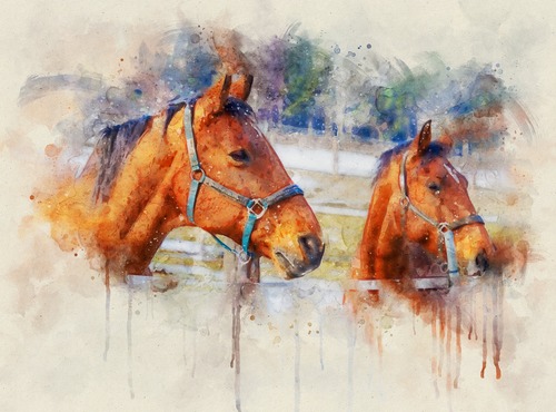 Живопись, лошади, животные, акварель