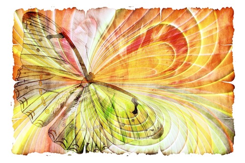 Бабочки, бумага, ретро, пергамент