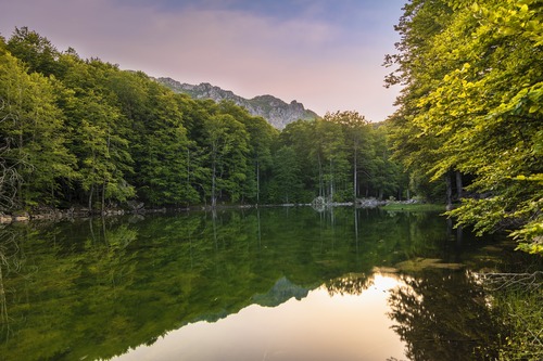 озеро, деревья, горы, холмы, лес