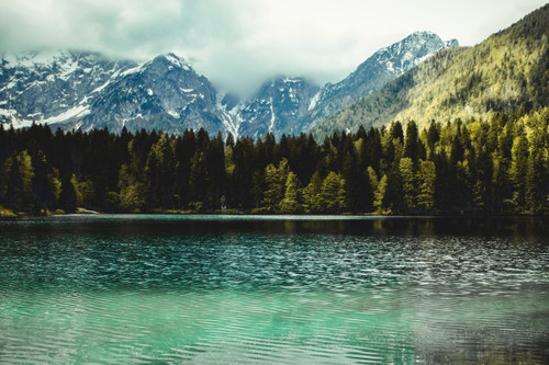 горы, снег, лес, вода, природа, пейзаж