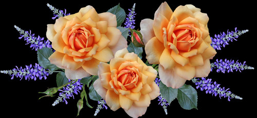 розы,  цветы, букет, 3д, 3d