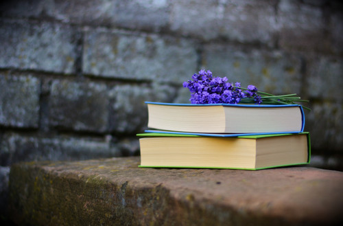 книга, книги, цветы, стена