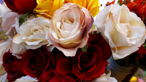 розы, цветы, 3д, 3d